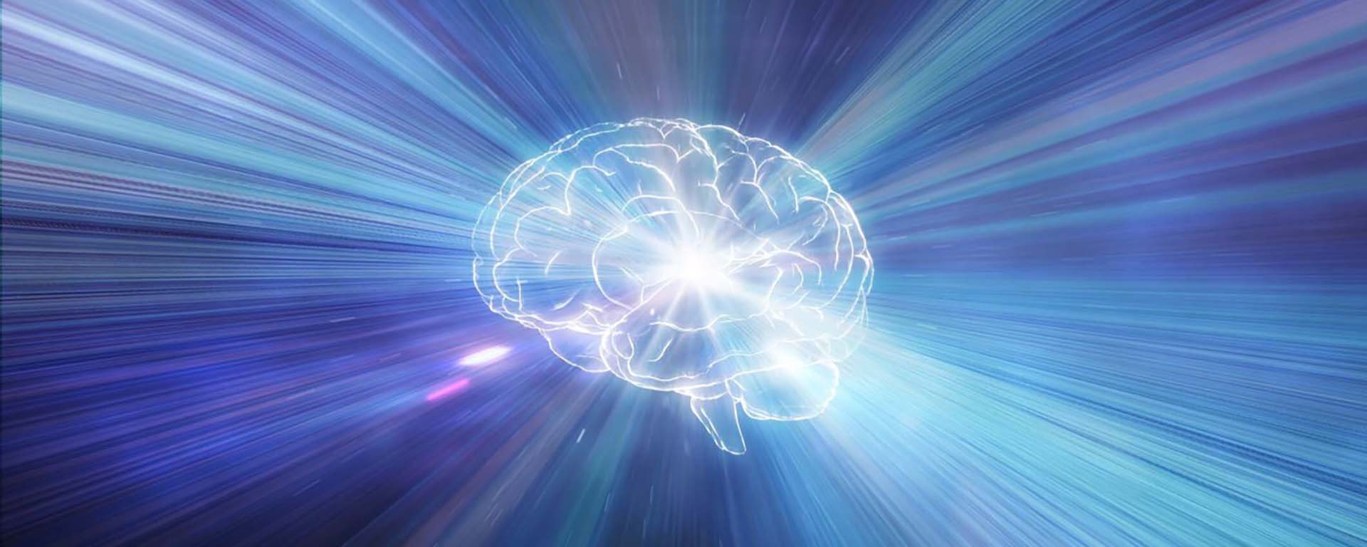 CGI brain image - Yuichiro Chino/Getty Images CGI brain image - Yuichiro Chino/Getty Images