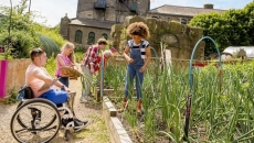 Children working in a garden Children working in a garden