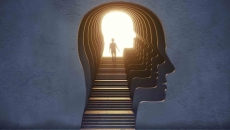 Human head and brain Human head and brain