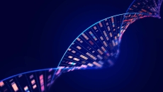 Human genome analysis DNA molecular structure Human genome analysis DNA molecular structure