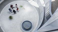 Executives consulting Executives consulting