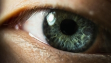 New AI captures the Indian concept of nine emotions called Navarasa New AI captures the Indian concept of nine emotions called Navarasa