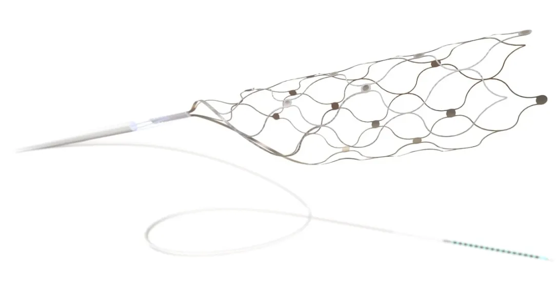 Synchron's Stentrode implant Synchron's Stentrode implant