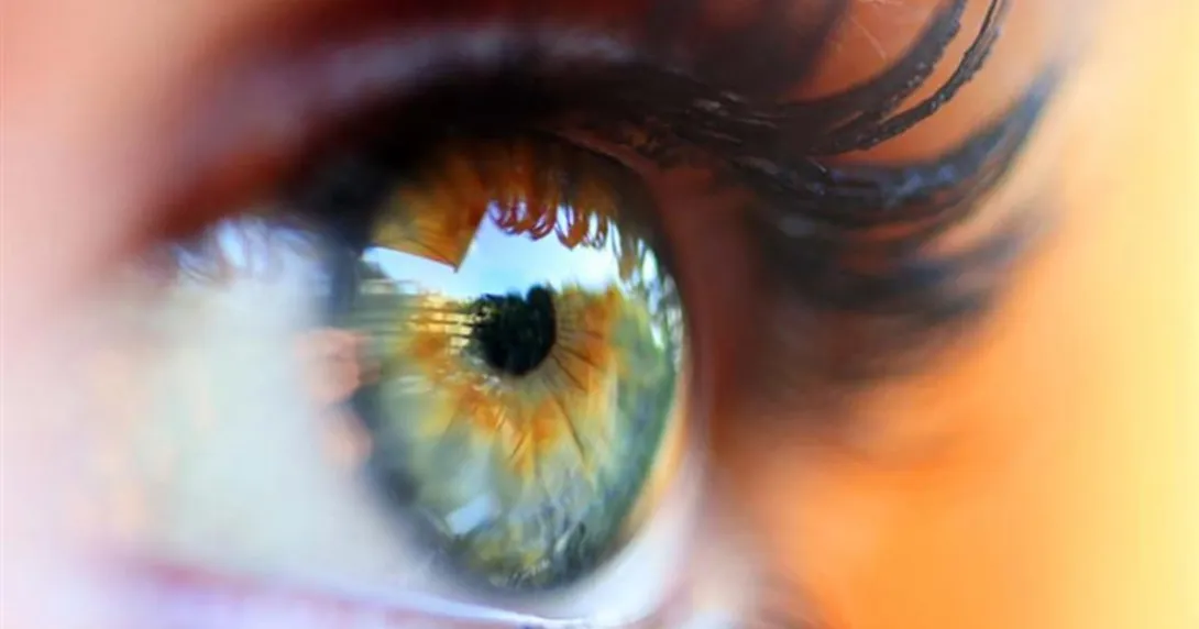 Close up of an eye Close up of an eye