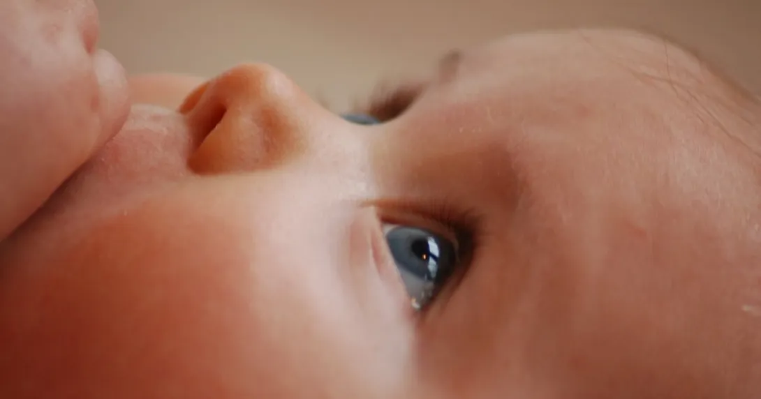 A baby's eyes A baby's eyes